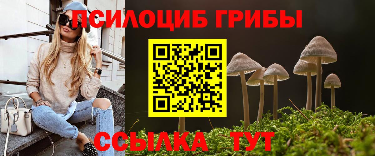 Псилоцибиновые грибы прущие грибы  Псилоцибиновые грибы прущие грибы  Геленджик  Вход с VPN 