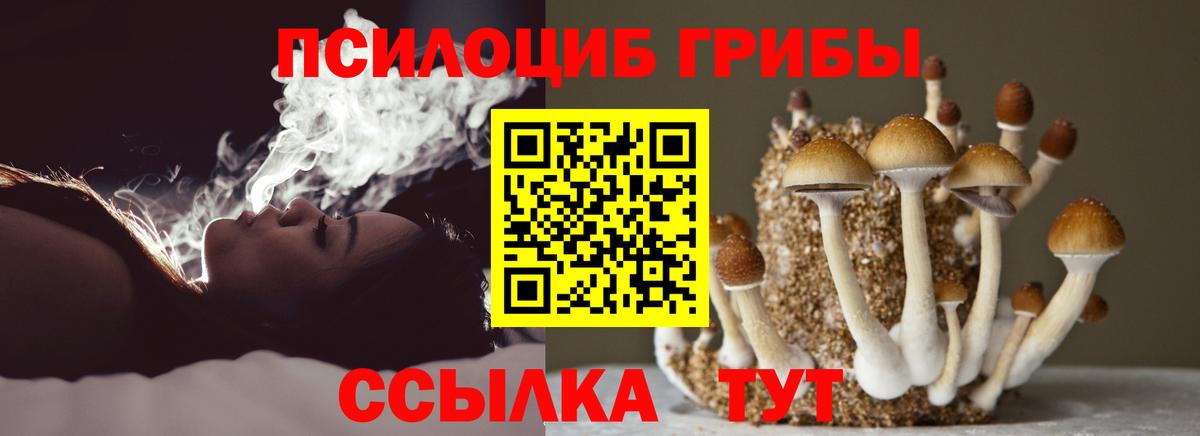 Галлюциногенные грибы Psilocybine cubensis Геленджик